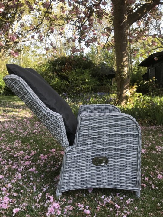 Ascot Recliner (1)